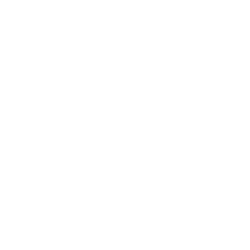 Bit Zeros logo