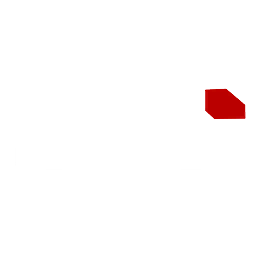 R6 Pro logo