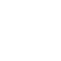 Adagio Holdings logo