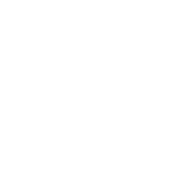 Rayari Incorporated logo